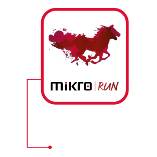 Mikro Run
